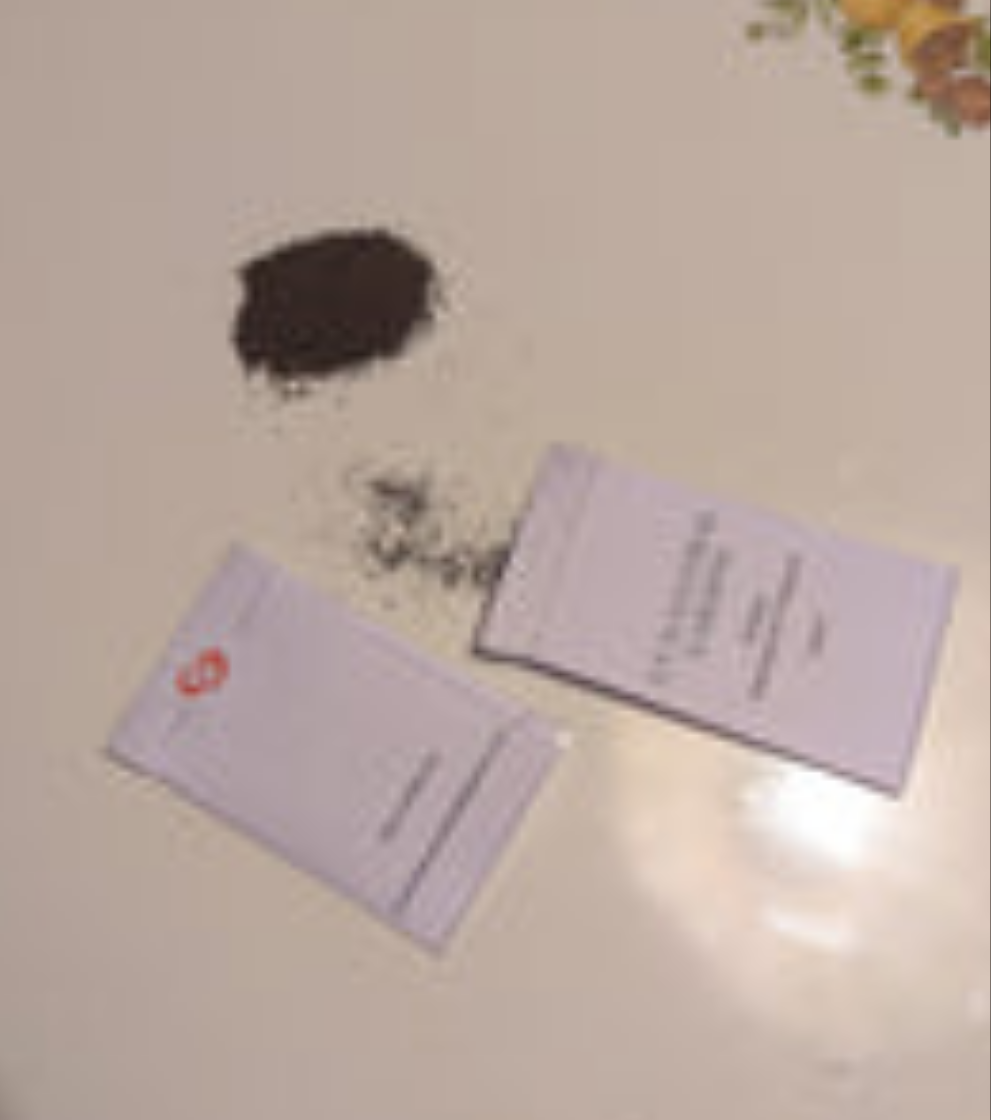 Mullien Seeds (200 seeds per pack)